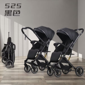 Reversible Stroller